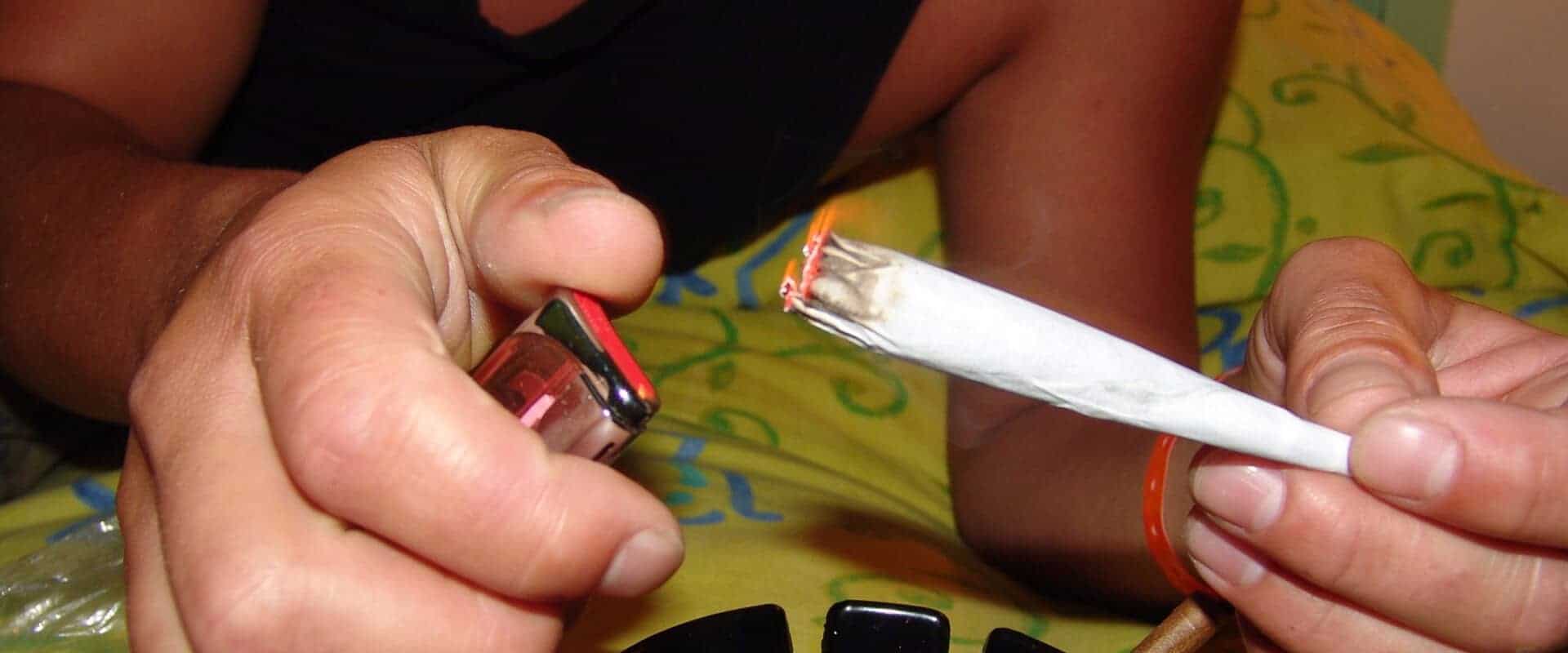 Hybrid Cannabis Lighting A Spliff