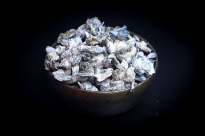 Albino Rollercoaster Psilocybin