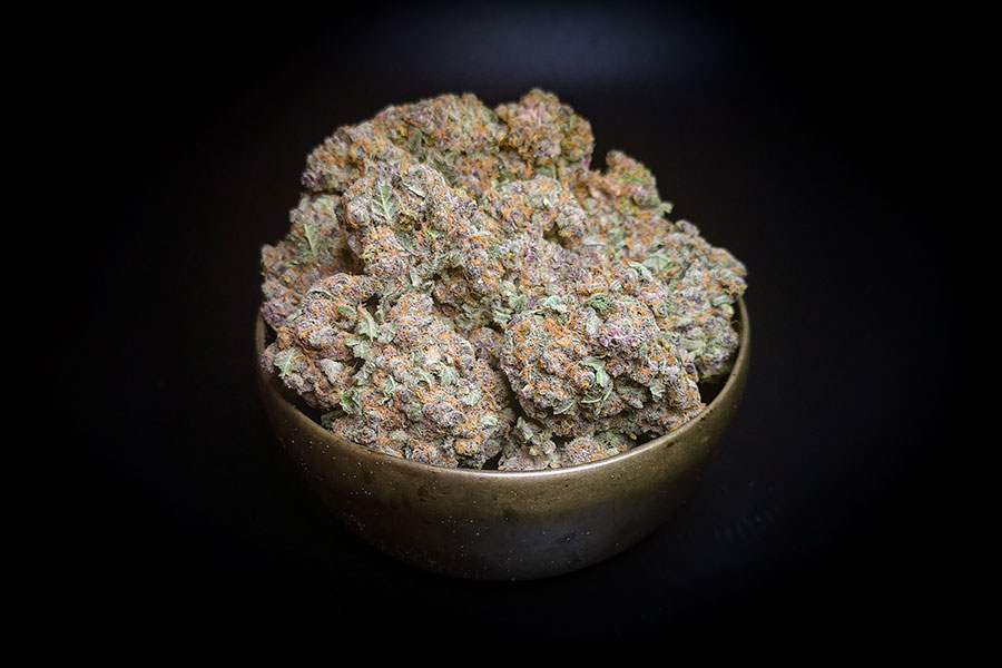 Ice Age w Ice Age Hybrid AAAA