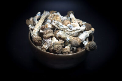 Koh Samui Super Piote Psilocybin