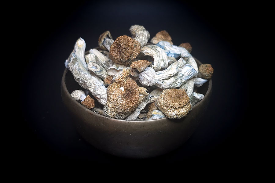 Penis Envy Shroom Bowl w Penis Envy Psilocybin