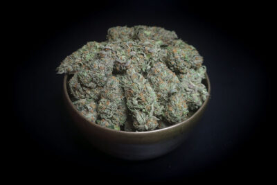 Plum Propane Hybrid LSO AAA+