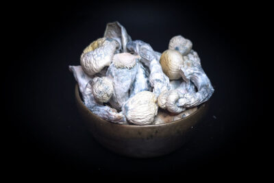 Yeti Psilocybin