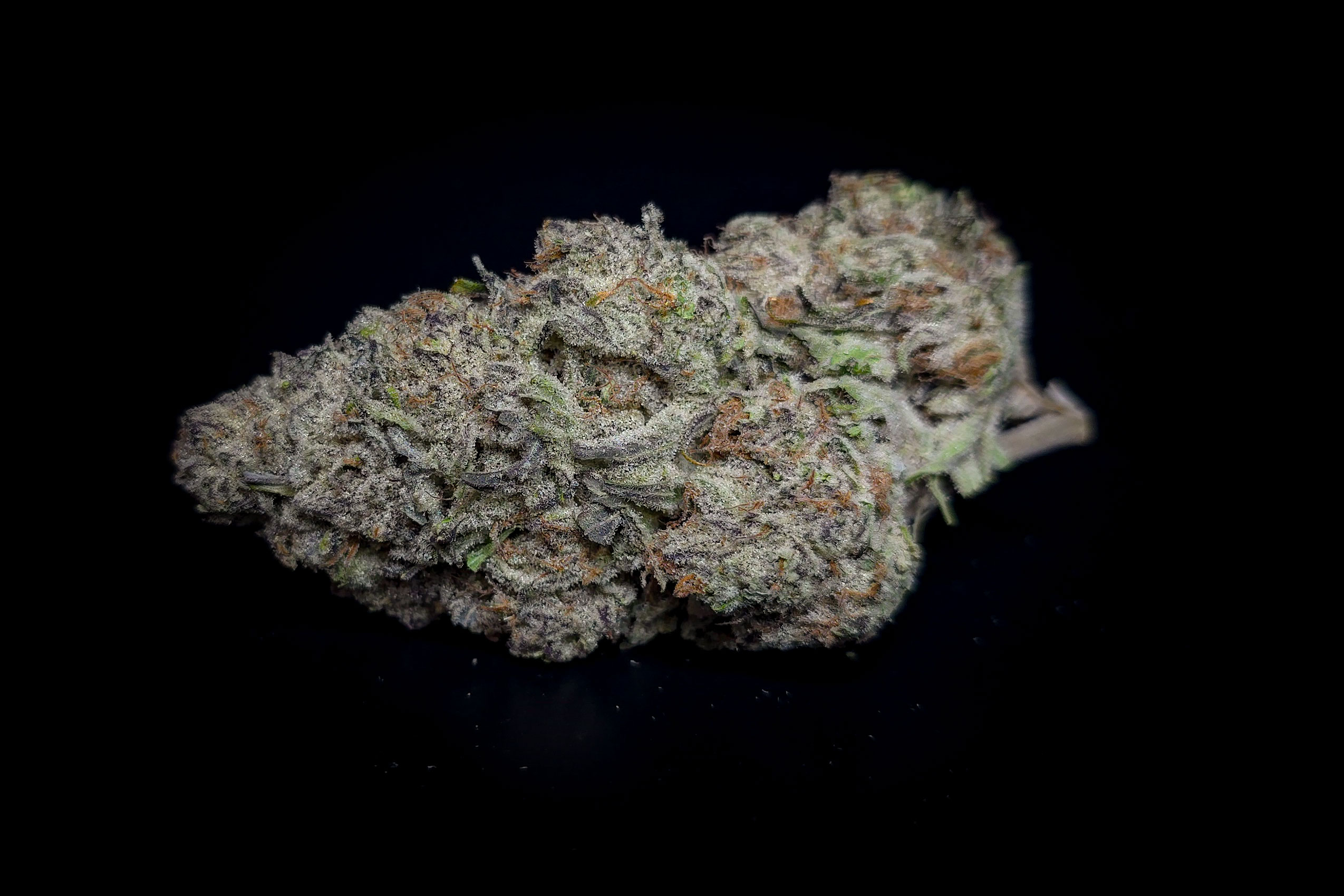 Durban Poison Sat Bud w Durban Poison Sat Bud w