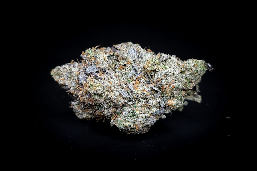 Pink Star Bud w Pink Star Bud w