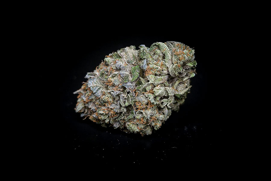 Black Vanilla Bud w Black Vanilla Bud w