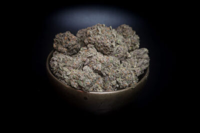 Appalachia Hybrid AAAA