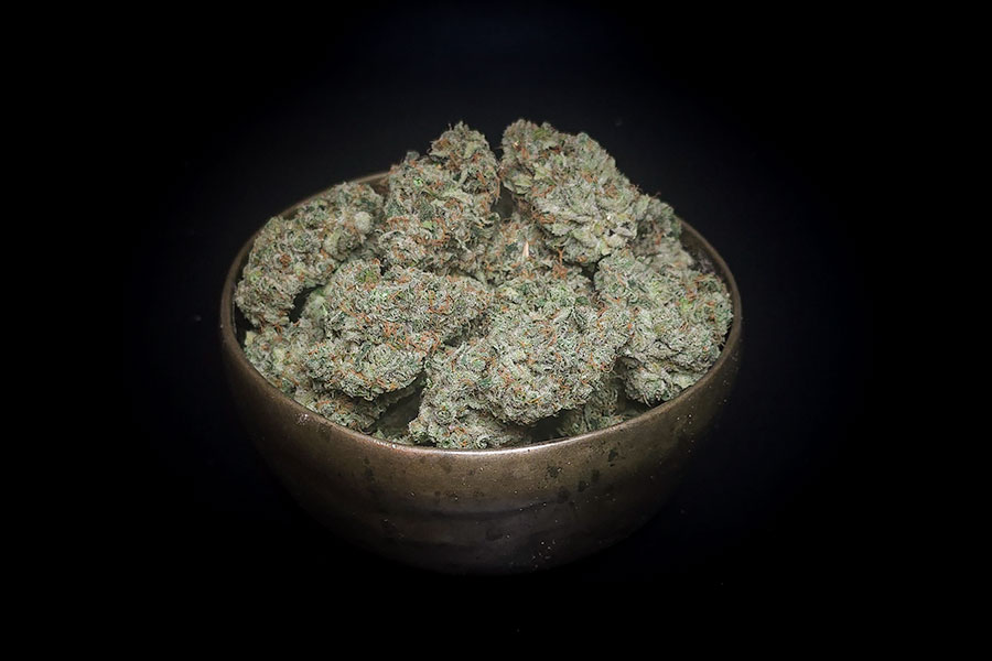 Lemon Meringue Bowl W Lemon Meringue Sativa AAAA