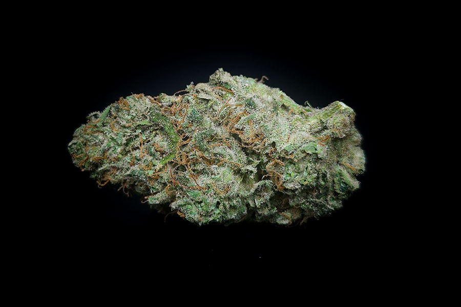 Lemon Meringue Bud W
